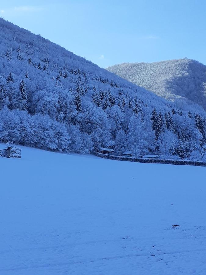 Pensiunea Natura Sadu Sibiu Eksteriør bilde