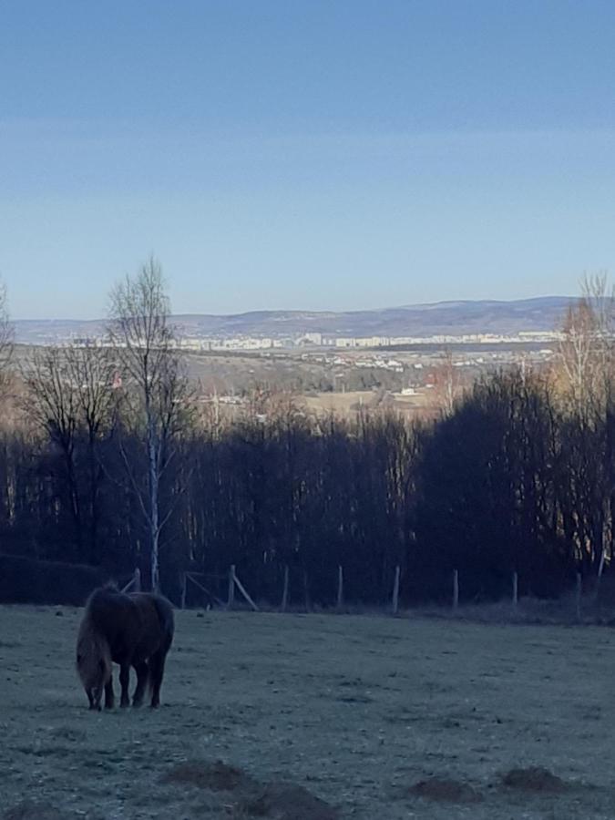 Pensiunea Natura Sadu Sibiu Eksteriør bilde