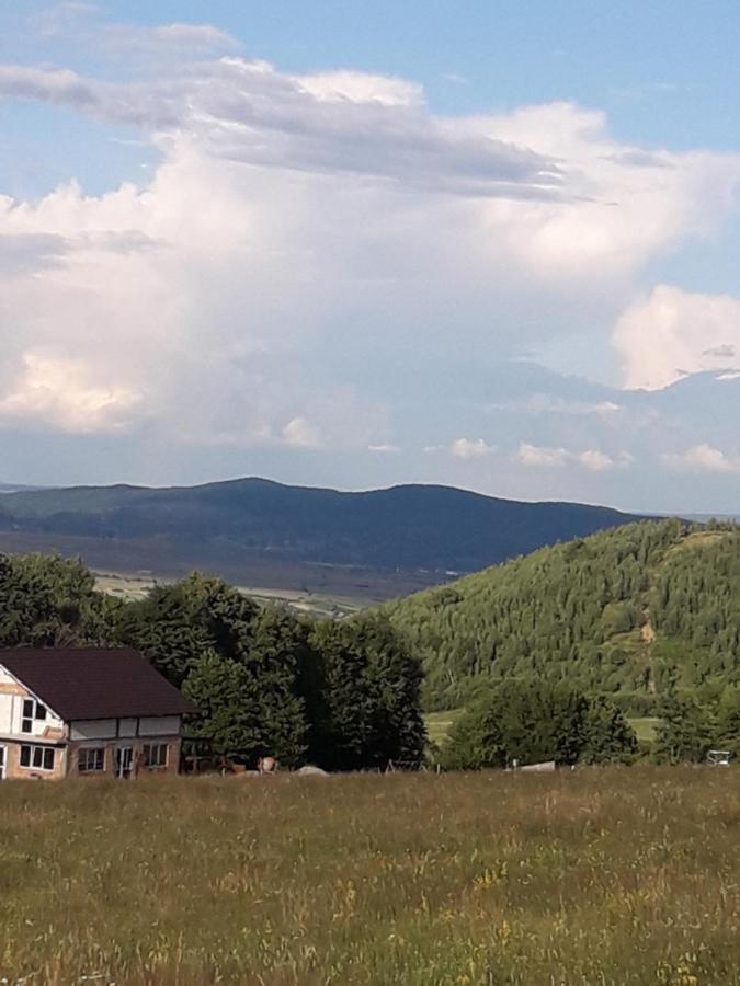 Pensiunea Natura Sadu Sibiu Eksteriør bilde
