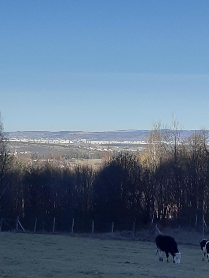 Pensiunea Natura Sadu Sibiu Eksteriør bilde